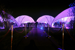 bubbletents category